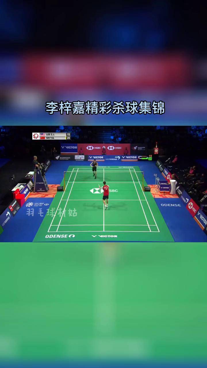 雷火电竞简介-丹麦队完胜韩国队，李梓嘉带队取胜