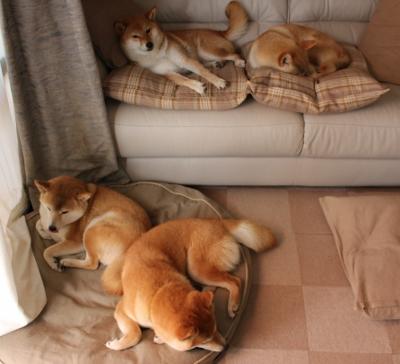 雷火电竞app-末节狂澜，浙江队一波带走雄鹿，恩比德关键时刻罚球抉择铸就胜局