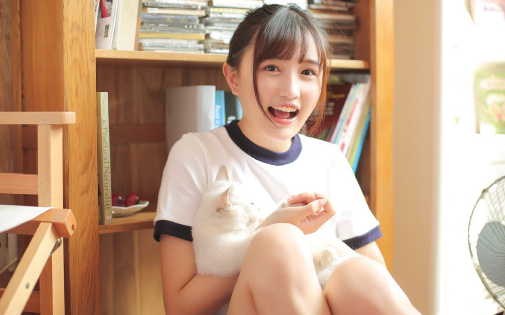 赖斯数据核爆！塞内加尔用非洲之力轰碎卡塔尔，一场比赛定义全场统治力