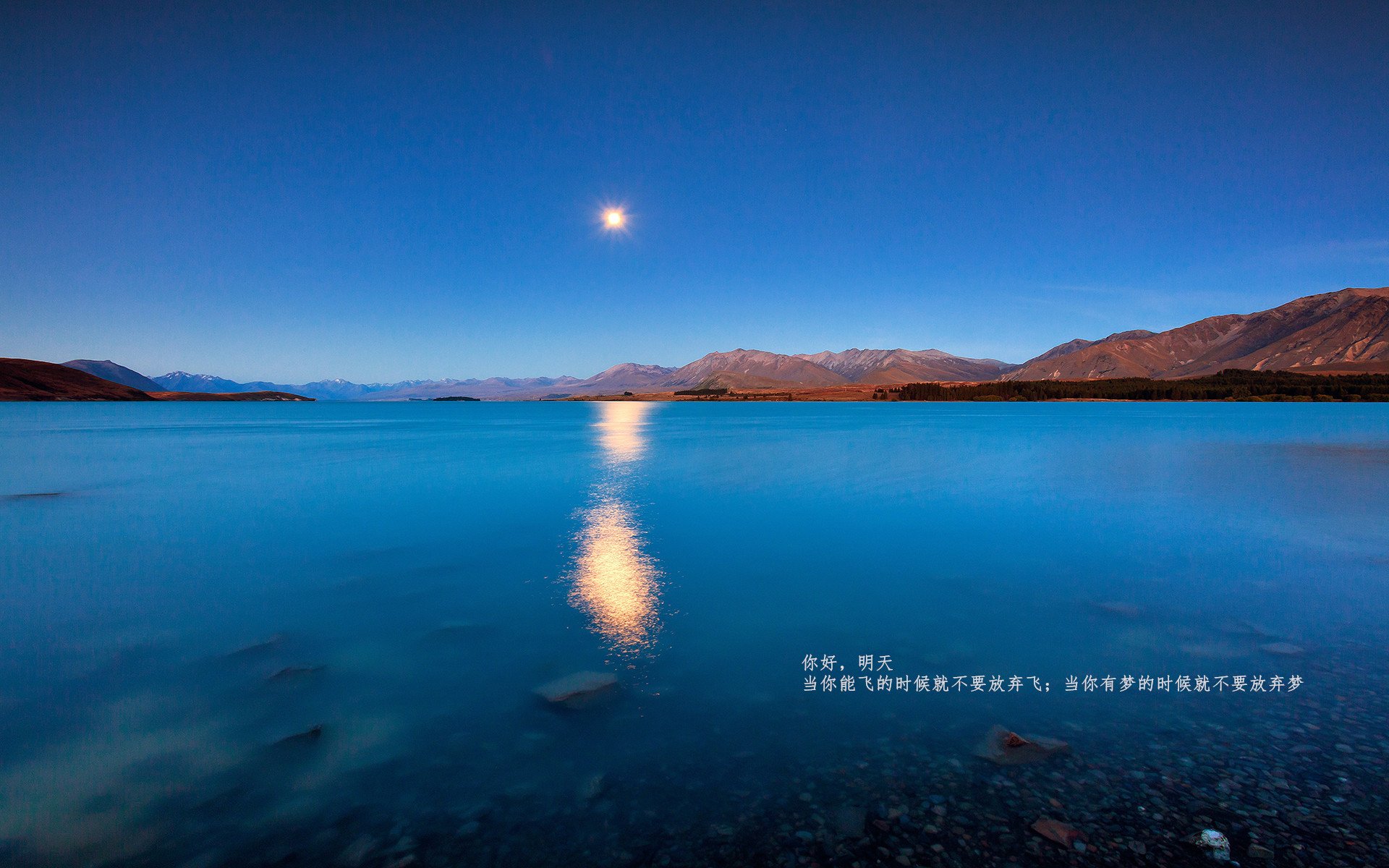 范弗利特关键战不手软,广厦队末节发力带走尼克斯