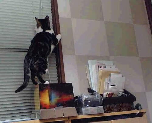 冰冷比分背后,滚烫价值的主旋律,五线谱上只奏响一个音符