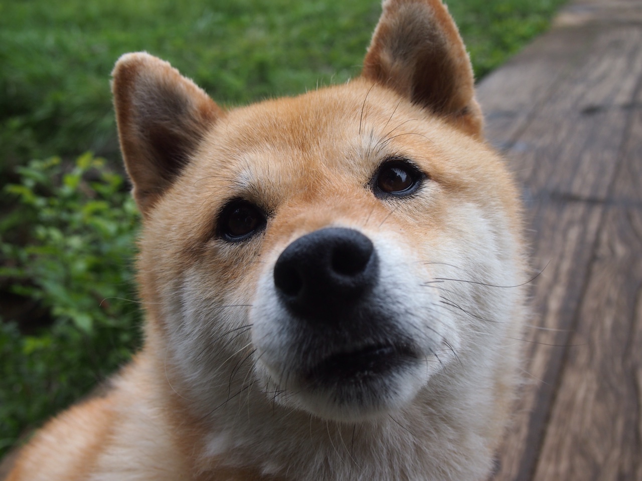雷火电竞官网-骤雨突袭，奥亚尔萨瓦尔三分钟内浇灭东决悬念