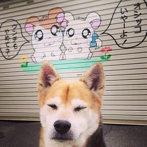 铁壁合围与孤星破雾，当北京队用纪律锁死国王，英格拉姆的锋刃划开胜利