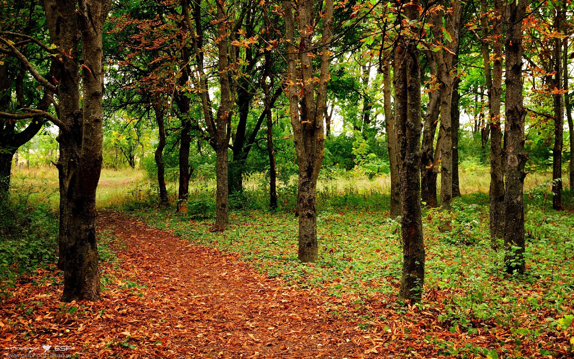 防守艺术的两极，从萨利巴的链条到特奥的长矛