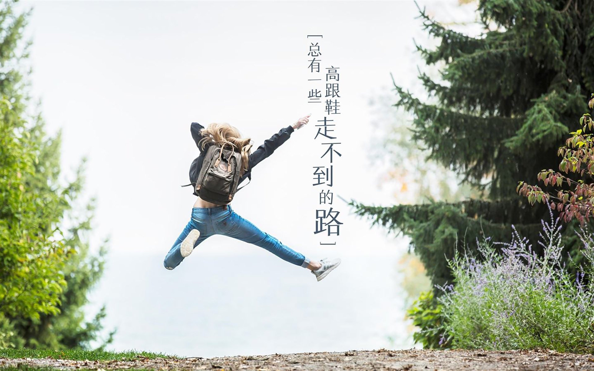 跨体育的争冠智慧，德甲焦点战与老鹰单节拉开广东队的共同哲学