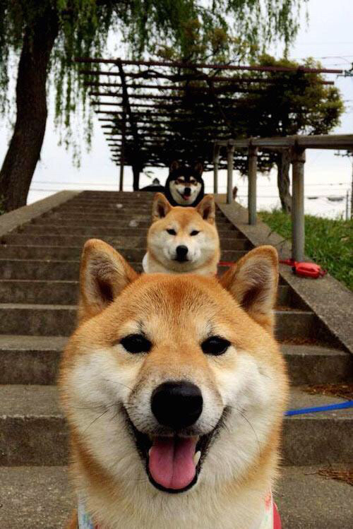 雷火电竞主播-当马克西在抢七之夜闪耀，快船却在克利夫兰写下另一种传奇