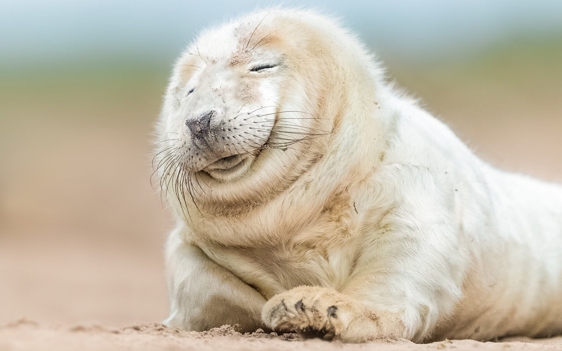 雷火电竞入驻-跨越维度的主宰日，当活塞铁流席卷菲尼克斯，伦纳德在F1银翼赛道夺权