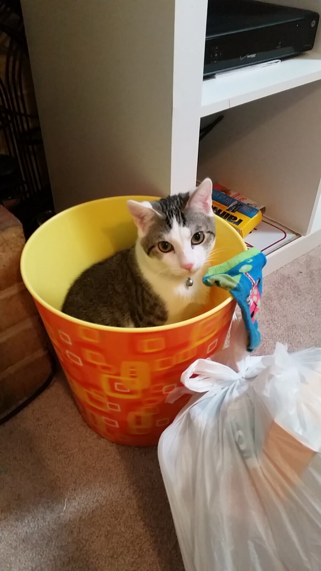 雷火电竞网站-足球双响炮，迪巴拉爆发闪耀赛场，雷恩强势拿下伊拉克劲旅