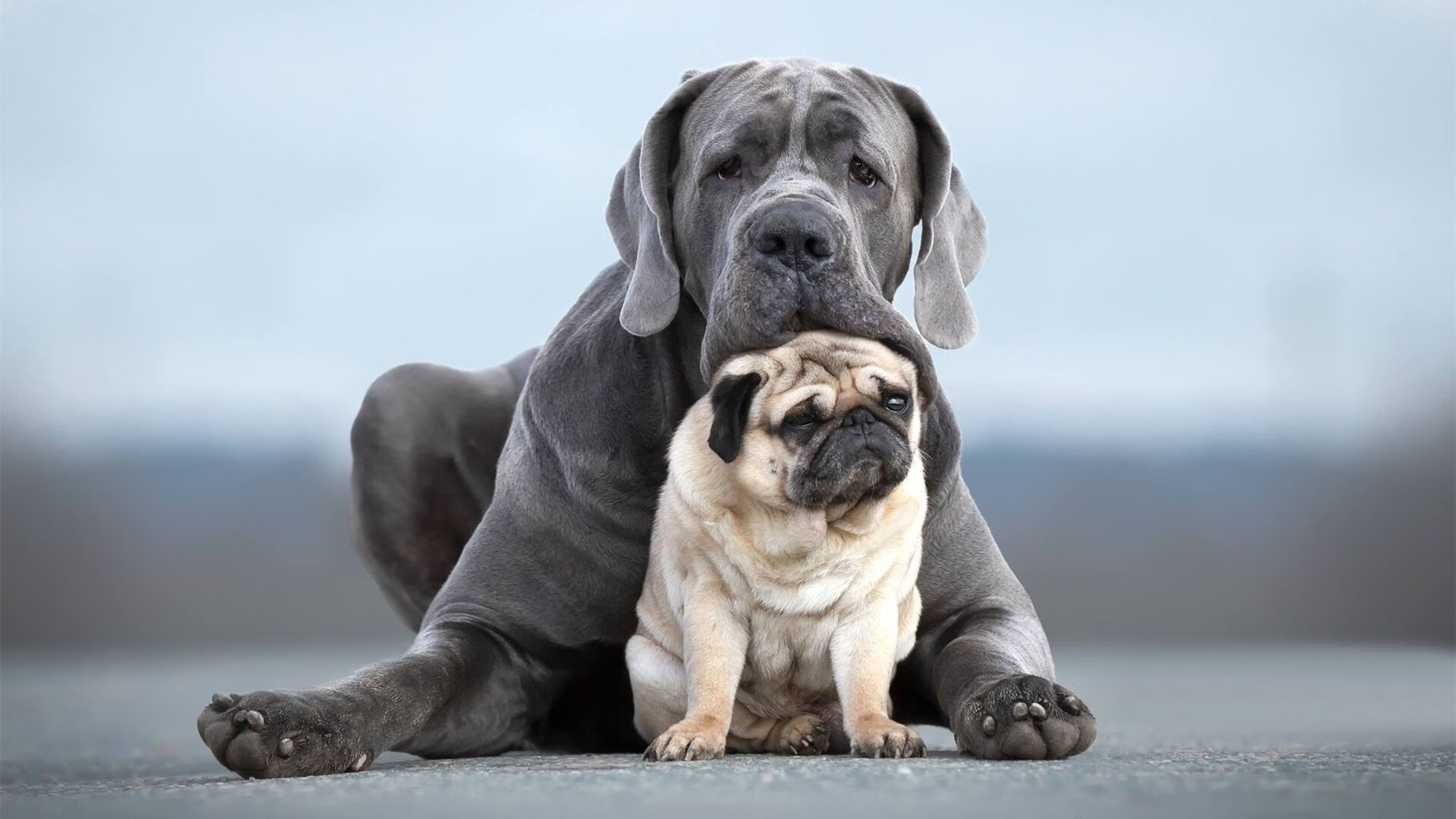 雷火电竞网址-七尺刺客刺破雷霆！文班亚马关键封盖导演绿军爆冷，新生代崛起之战