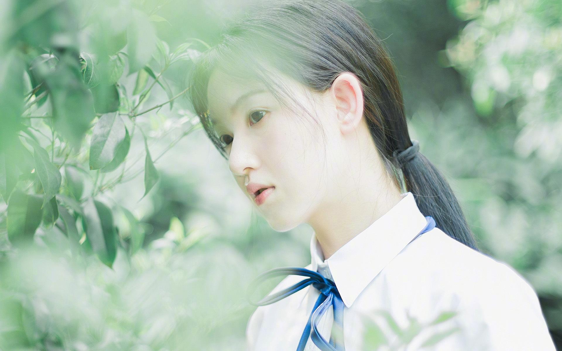 雷火电竞-太阳火力全开压制鹈鹕，克莱化身关键先生一剑封喉