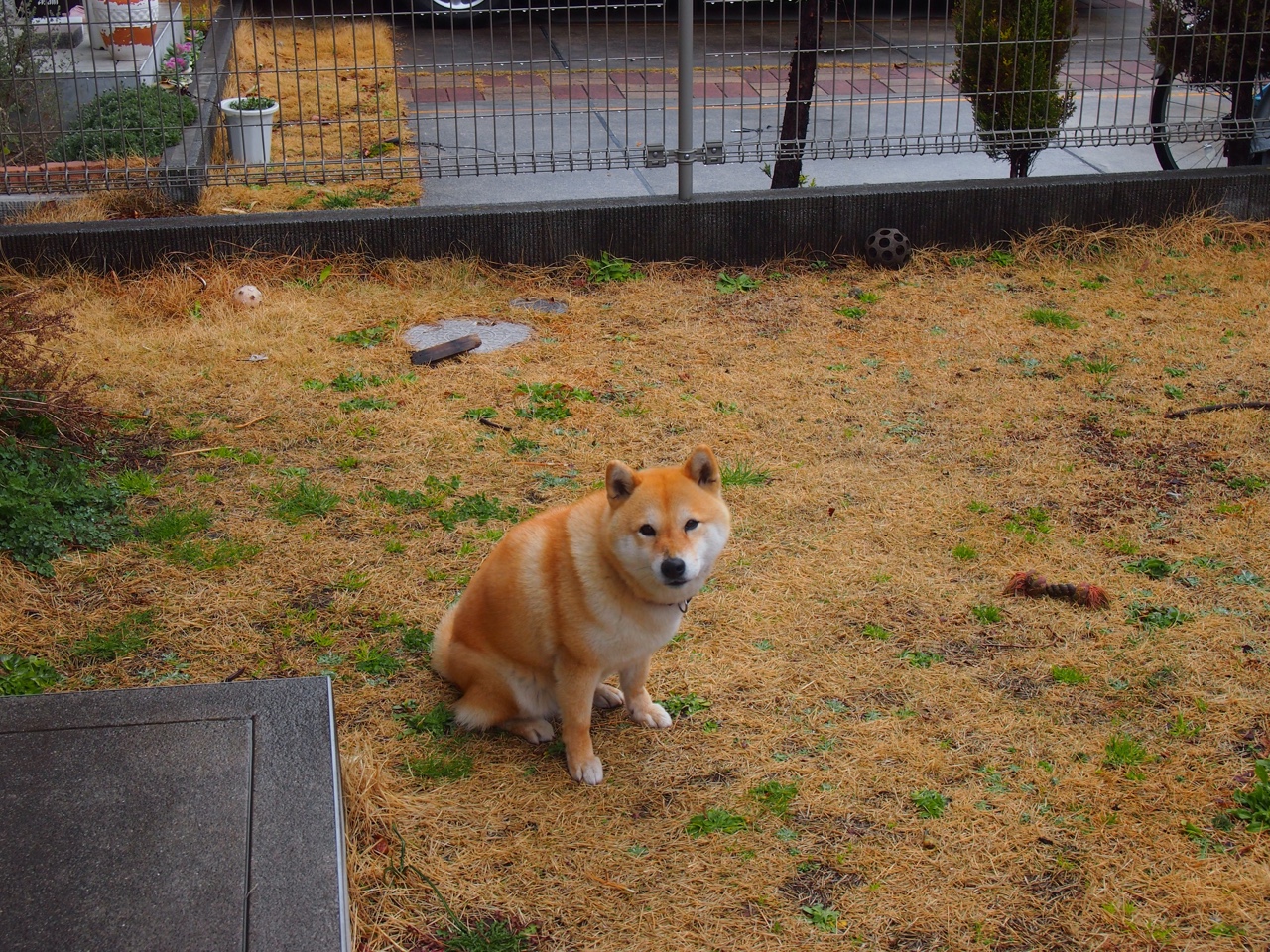 雷火电竞官网-降维打击，卡马文加的个体爆破与尼斯的战术压制—足球竞争的两个维度