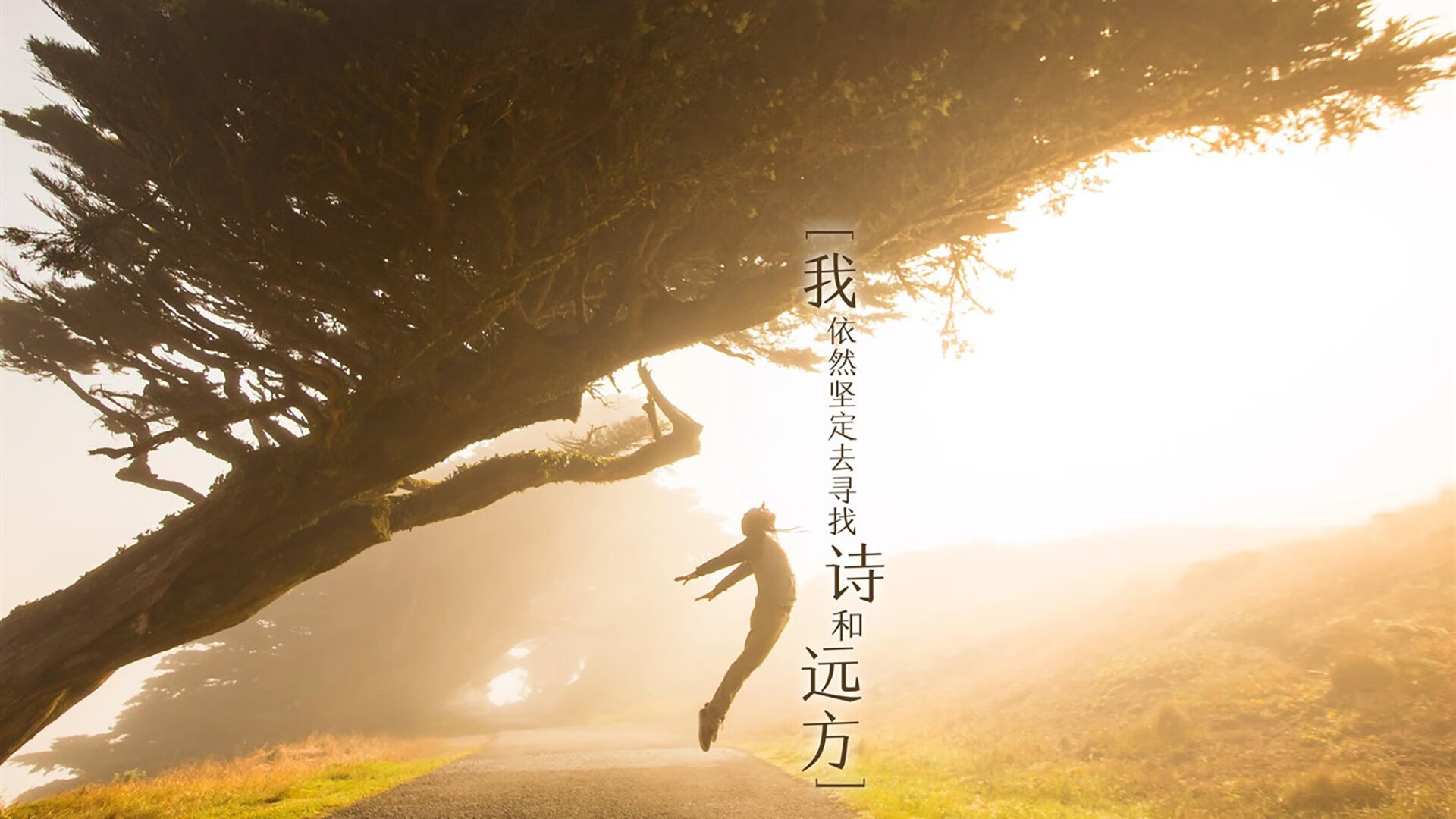 星辰坠落之夜，当浓眉的独角戏，遇上辽宁队万箭齐发的奇才剧本