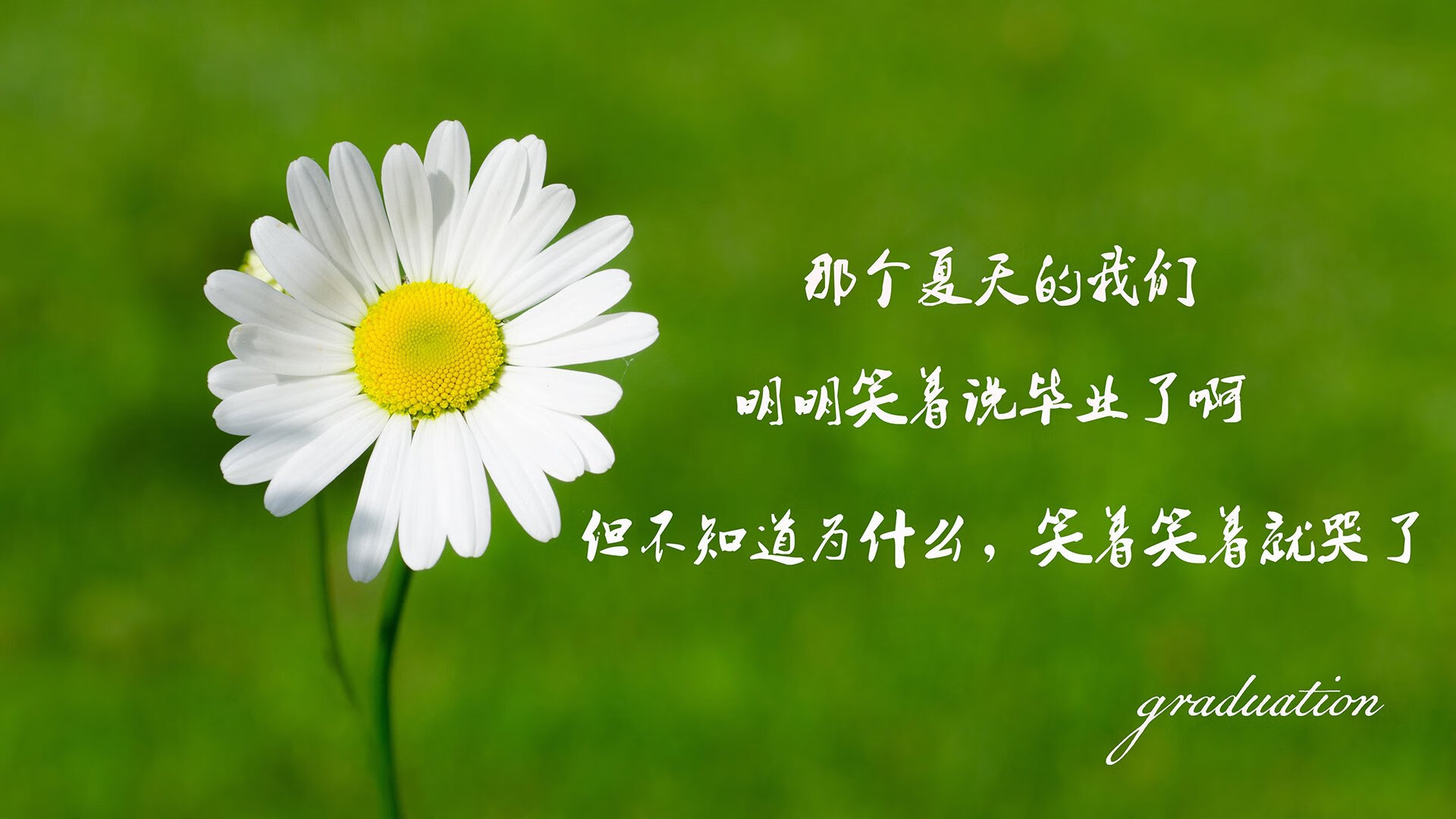 孤星照亮北境，维尼修斯的魔法时刻，尼日利亚在2026世界杯关键战中击溃芬兰