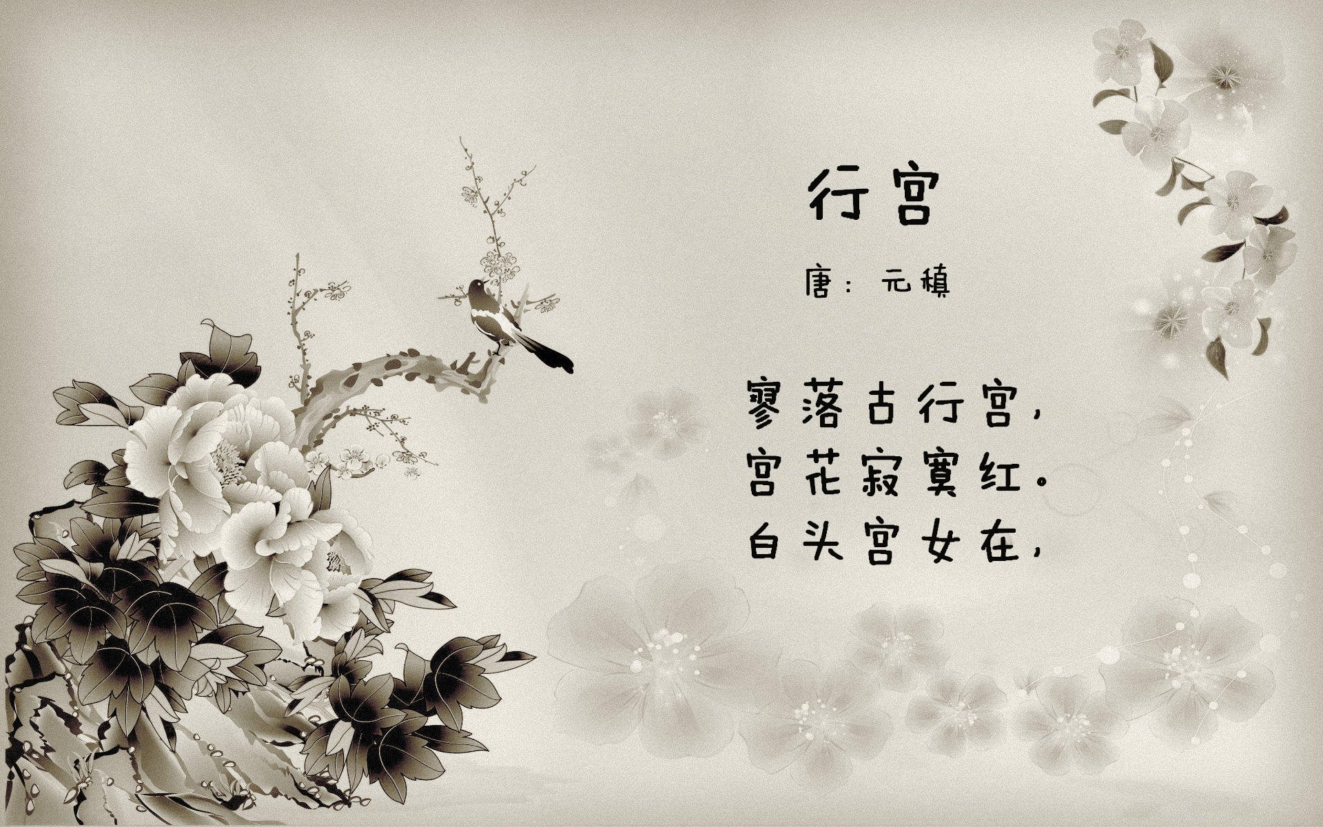 蓝白风暴中的一抹绿，2026世界杯G组，乌兹别克斯坦如何用中场绞杀英格兰，莱万多夫斯基一剑封喉