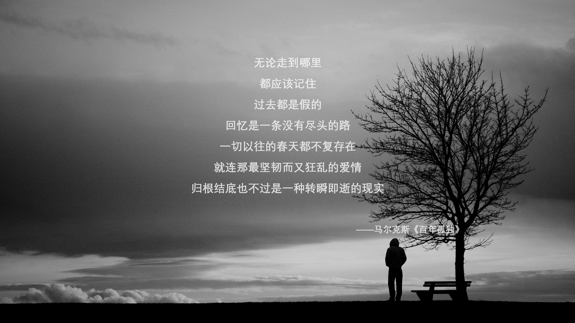 孤星耀世,当莱万多夫斯基的独舞,湮灭比利时黄金一代的争冠幻梦