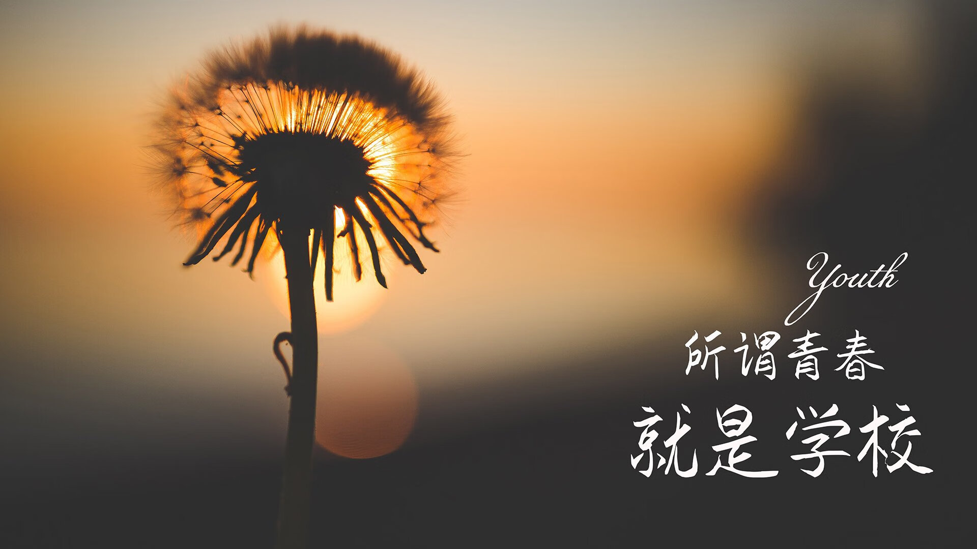冷门之夜,2026世界杯B组生死战,伊朗铁骑踏破芬兰,福登独木难支,门神贝兰万德封神