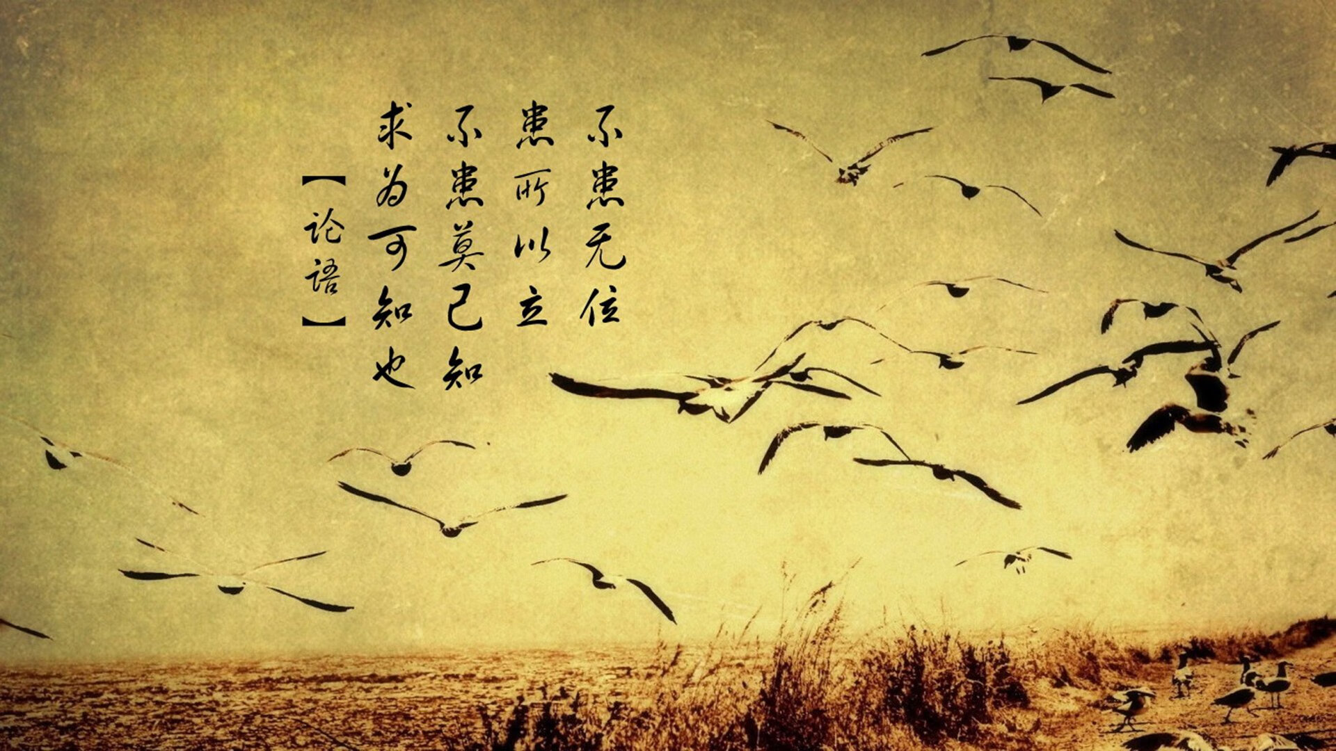雷火电竞-唯一之刺，当迪亚斯的刀锋划破巴西的黄昏